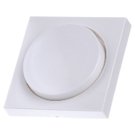 Image of 065003 - Cover plate for dimmer white 065003