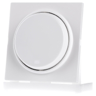 Image of 065540 - Cover plate for dimmer white 065540