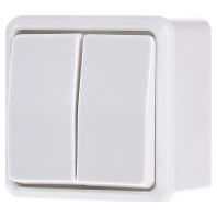 Image of 605 A WW - Series switch surface mounted white 605 A WW