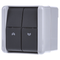 Image of 839 VW - 1-pole push button for roller shutter 839 VW