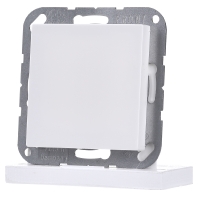 Image of A 594-0 WW - Cover plate for Blind white A 594-0 WW