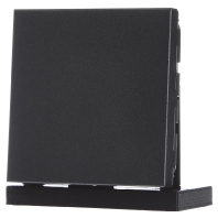 Image of AL 2994 B AN - Cover plate for Blind anthracite AL 2994 B AN