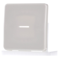 Image of CD 590 KO5 - Cover plate for switch/push button CD 590 KO5