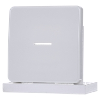 Image of CD 590 KO5 WW - Cover plate for switch/push button white CD 590 KO5 WW