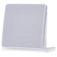 Image of CD 590 LG - Cover plate for switch/push button grey CD 590 LG