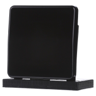 Image of CD 590 SW - Cover plate for switch/push button black CD 590 SW