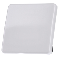 Image of CD 590 WW - Cover plate for switch/push button white CD 590 WW