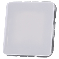 Image of CD 594-0 WW - Cover plate for Blind white CD 594-0 WW