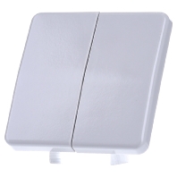Image of CD 595 LG - Cover plate for switch/push button CD 595 LG