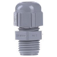 Image of ST Pg7 R7001 SGY - Cable screw gland ST Pg7 R7001 SGY