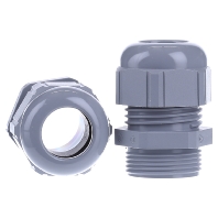 Image of ST Pg21 R7001 SGY - Cable screw gland ST Pg21 R7001 SGY