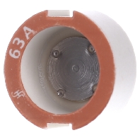 Image of 5SH320 - Diazed screw adapter DIII 63A 5SH320
