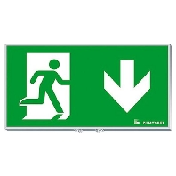 22168703 - Pictogram for emergency luminaire, 22168703 - Promotional item