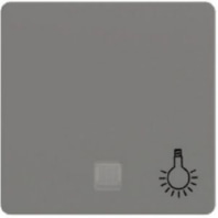 2131511 - Cover plate for switch/push button, 2131511 - Promotional item