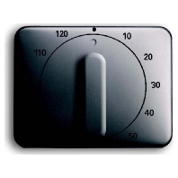 1771-20-101 - Cover plate for time switch platinum 1771-20-101