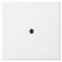 2536-914 - Central cover plate 2536-914