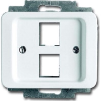 Busch j centraalplaat 2v modular jack