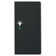 6231-22-885 - Touch rocker for home automation black 6231-22-885