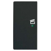 6233-21-885 - Touch rocker for home automation black 6233-21-885