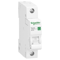 R9F27113 - Miniature circuit breaker 1-p B13A R9F27113
