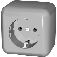 395004 Socket outlet (receptacle) 395004