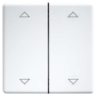 DW-FT55-wg+2P - Touch rocker for home automation white DW-FT55-wg+2P