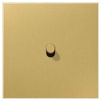 ME 12-0 C R 25 - Cover plate for switch/push button brass ME 12-0 C R 25