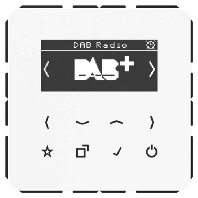 DAB CD WW - Radio receiver DAB CD WW