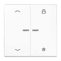 LS 1701 P WW - Intelligent control element white LS 1701 P WW