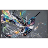 PHI 50BDL3550Q/00  - 4K UHD Display PHILIPS PHI 50BDL3550Q/00