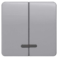 5TG7938 - Cover plate for switch/push button 5TG7938