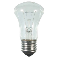 41731 - Standard lamp 60W 230V E27 clear 41731