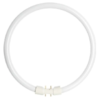 68809 - Fluorescent lamp ring shape 60W 16mm 68809