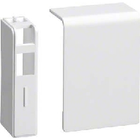 Sl 200556 Rws End Cap For Baseboard Wireway 55X20Mm Sl huismerk kopen in de aanbieding Sl 200556 Rws End Cap For Baseboard Wireway 55X20Mm Sl huismerk kopen in de aanbieding