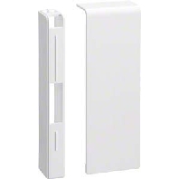 Sl 201156 Rws End Cap For Baseboard Wireway 115X20Mm Sl huismerk kopen in de aanbieding Sl 201156 Rws End Cap For Baseboard Wireway 115X20Mm Sl huismerk kopen in de aanbieding
