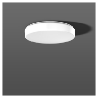 672343.002.5 - Emergency luminaire 19W IP40 672343.002.5