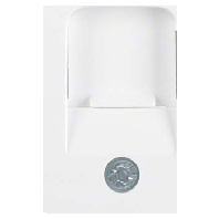 11702089 - Central cover plate Modular Jack 11702089