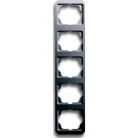 1735-20 - Frame 5-gang platinum 1735-20