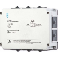 6174/40 - EIB, KNX light system interface, 6174/40