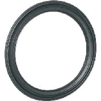 19980063 - Sealing ring 19980063