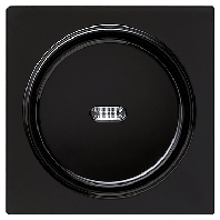 029047 - Cover plate for switch/push button black 029047