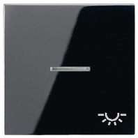 A 590 KO5L SW - Cover plate for switch/push button black A 590 KO5L SW