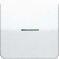 CD 590 KO5 LG - Cover plate for switch/push button grey CD 590 KO5 LG