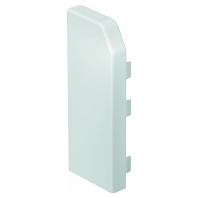 RD ESL40105 cws (10 Stück) - End cap for baseboard wireway RD ESL40105 cws