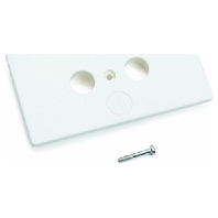 Image of SL BL ANT rws - Face plate for device mount wireway SL BL ANT rws