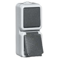 D 6666 WAB - Combination switch/wall socket outlet D 6666 WAB