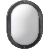 Buiten-wand- of plafondlamp EKO 19, zwart