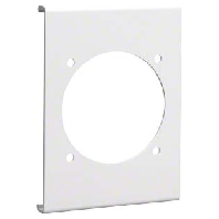 Image of R 8680 rws - Face plate for device mount wireway R 8680 rws
