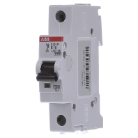 S201P B10 Miniature Circuit Breaker 1 P B10A huismerk kopen in de aanbieding S201P B10 Miniature Circuit Breaker 1 P B10A huismerk kopen in de aanbieding