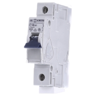 C16S1 Miniature Circuit Breaker 1 P C16A huismerk kopen in de aanbieding C16S1 Miniature Circuit Breaker 1 P C16A huismerk kopen in de aanbieding